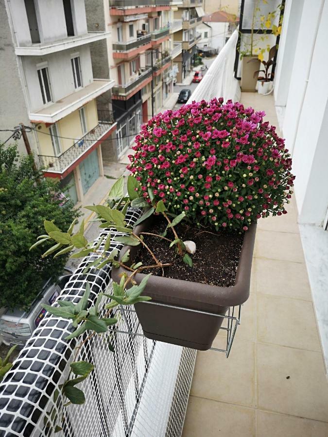 Apartamento Alexandros Aridaía Exterior foto